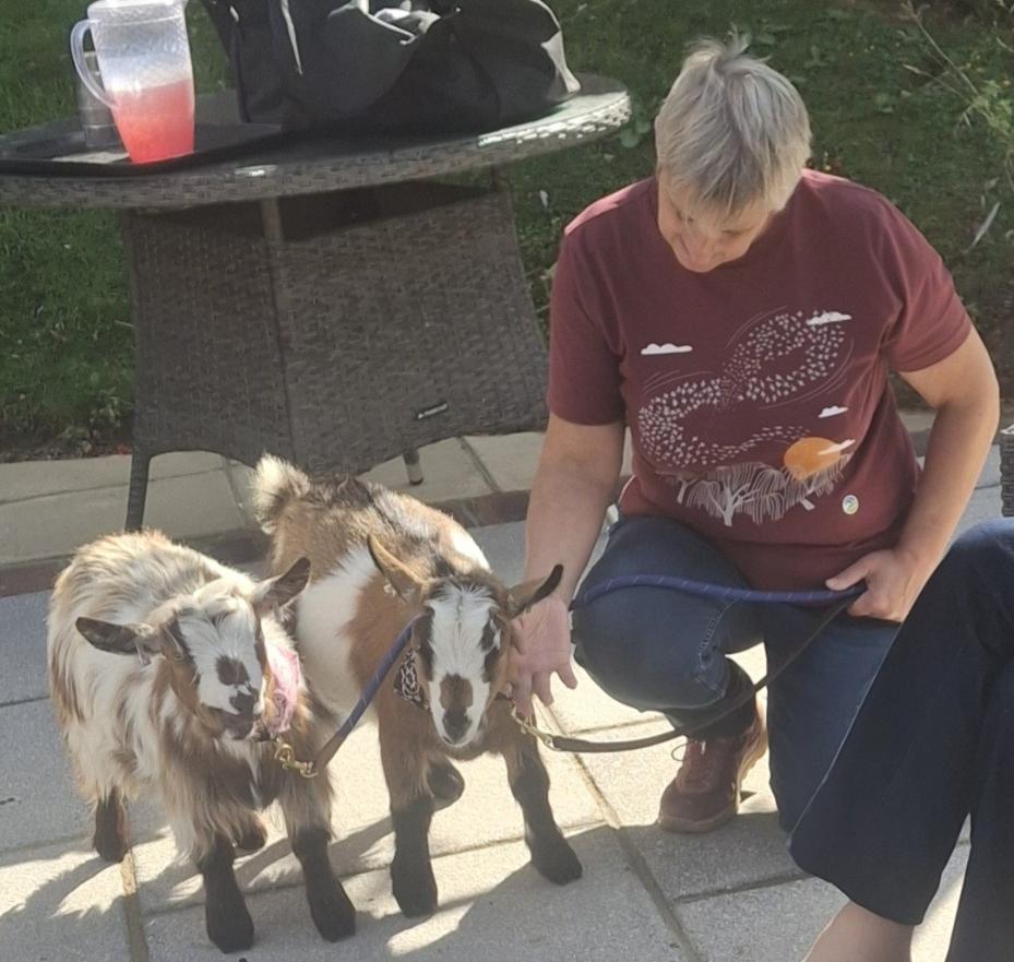 visitor-with-goats