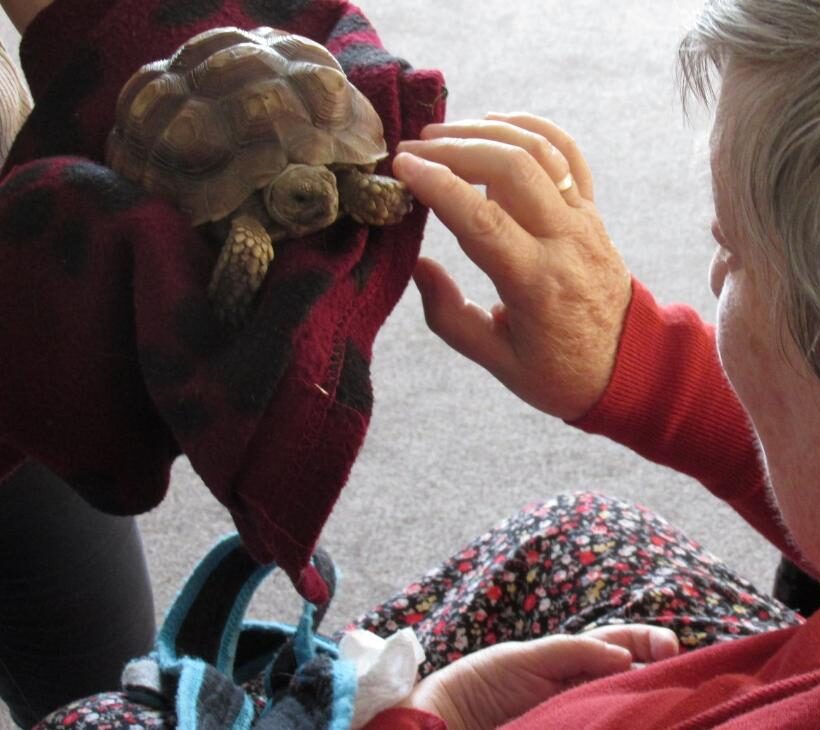 resident with a turtle