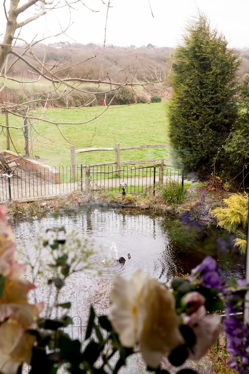 garden