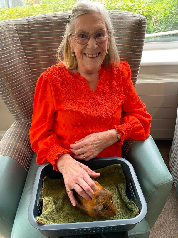 resident with guinea pig